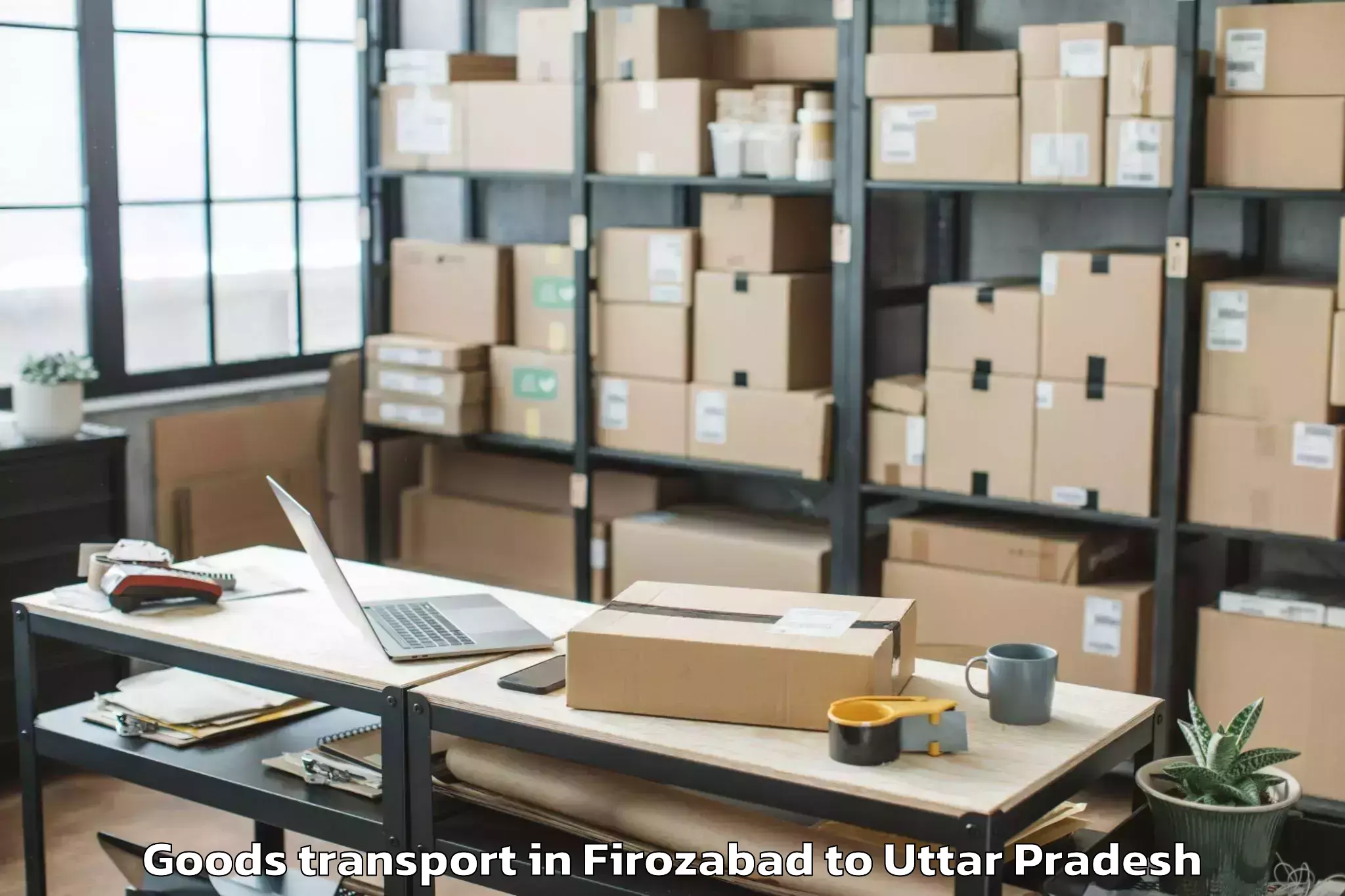 Trusted Firozabad to Gardens Galleria Lucknow Goods Transport